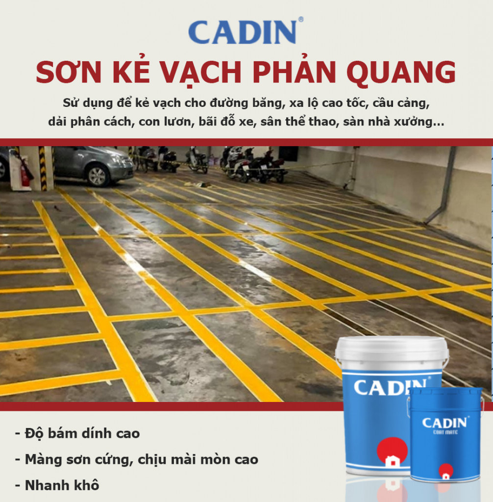 sơn kẻ vạch cadin