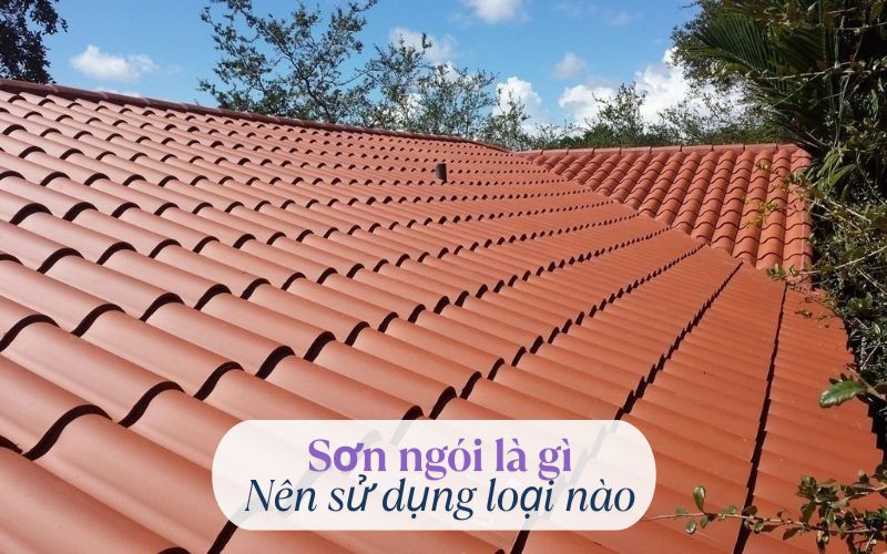 Sơn ngói là gì?