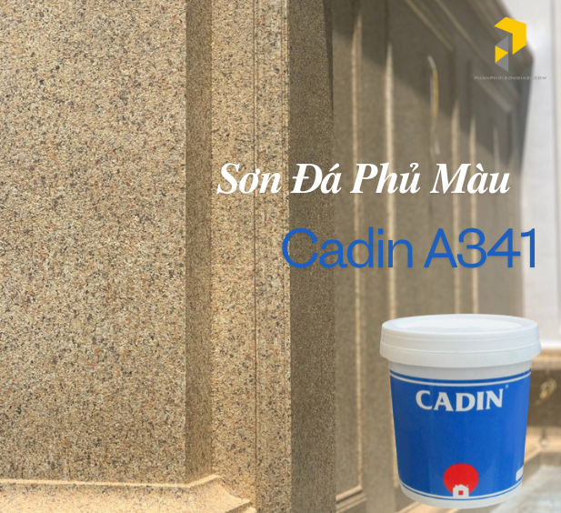 Sơn đá phủ màuCADIN - A341