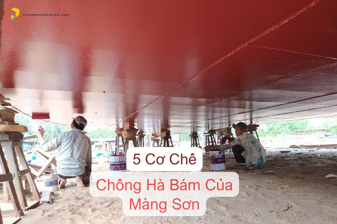 Các cơ chế chống hà bám của Sơn Chống Hà