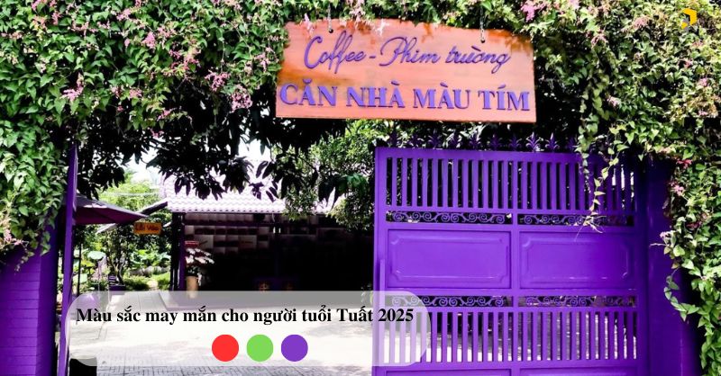 Màu sắc may mắn cho người tuổi tuất 2025