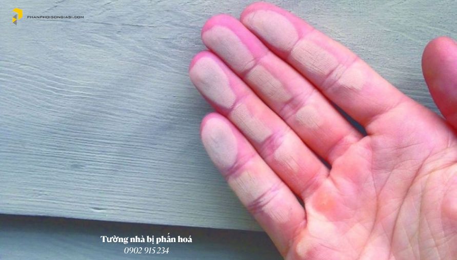 Hiện tượng phấn hóa 
