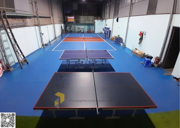 Sơn nền sân Pickleball